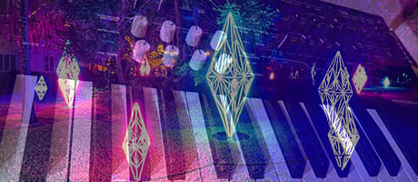 Diamond VIP Experience