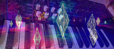 Diamond VIP Experience