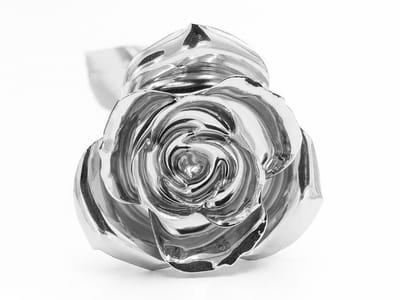 Platinum Rose 
