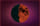 Quarter Moon