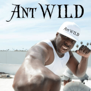 Ant WILD