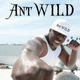 Ant WILD