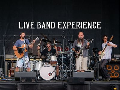 Live Show Experiences