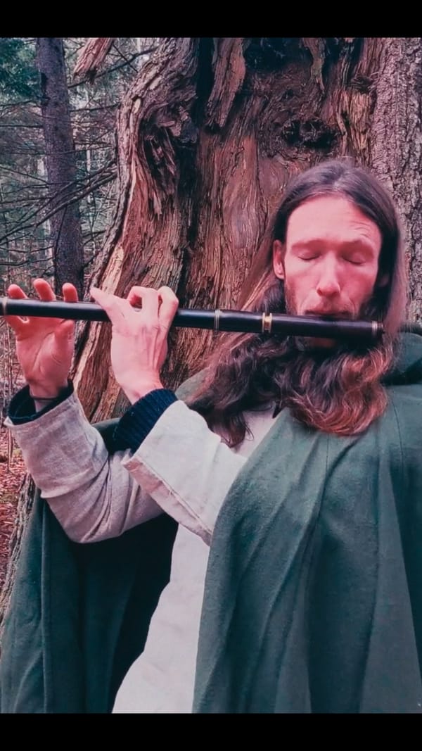 Irish flute solo in the woods, from "In Our Bones" music video